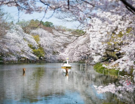 Top 3 công viên được yêu thích nhất Nhật Bản