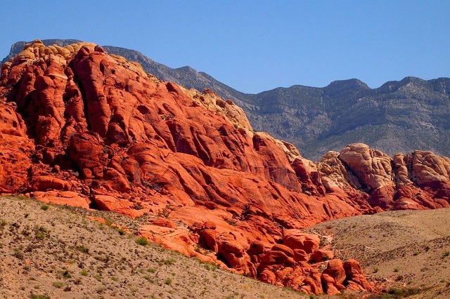 Red Rock Canyon là điểm đến lý tưởng dành cho những vị khách muốn khám phá vẻ đẹp của thiên nhiên